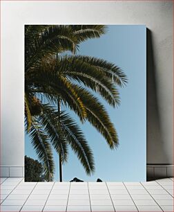 Πίνακας, Palm Tree Against Blue Sky Palm Tree Against Blue Sky