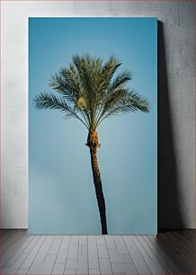 Πίνακας, Palm Tree Against Clear Sky Palm Tree Against Clear Sky