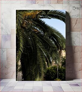 Πίνακας, Palm Tree Close-Up Κοντινό πλάνο Φοίνικας