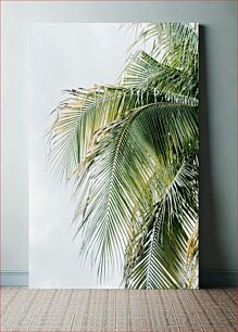 Πίνακας, Palm Tree Leaves Against Sky Φύλλα φοίνικα στον ουρανό