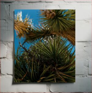 Πίνακας, Palm Trees Against Blue Sky Φοίνικες ενάντια στο γαλάζιο του ουρανού