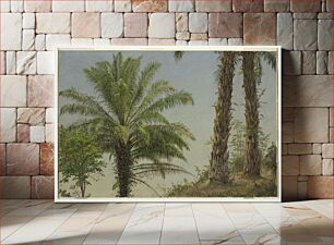 Πίνακας, Palm Trees, Jamaica, Frederic Edwin Church