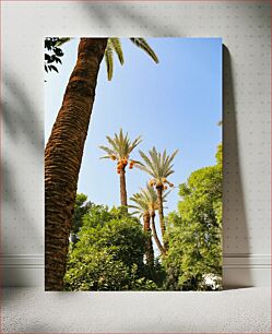 Πίνακας, Palm Trees Under Clear Sky Φοίνικες κάτω από τον καθαρό ουρανό