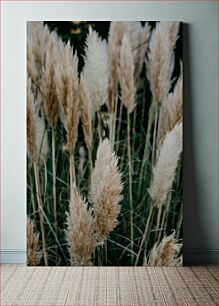 Πίνακας, Pampas Grass in Natural Habitat Χόρτο Pampas σε φυσικό βιότοπο