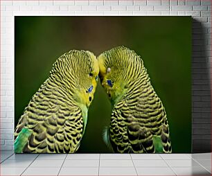 Πίνακας, Parakeet Pair Parakeet Pair