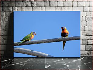 Πίνακας, Parrots on a Metal Bar Παπαγάλοι σε μεταλλική μπάρα