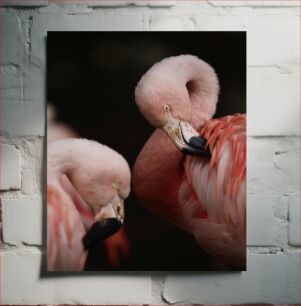 Πίνακας, Peaceful Flamingos Ειρηνικά Φλαμίνγκο