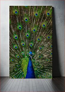 Πίνακας, Peacock Displaying Its Feathers Το παγώνι δείχνει τα φτερά του