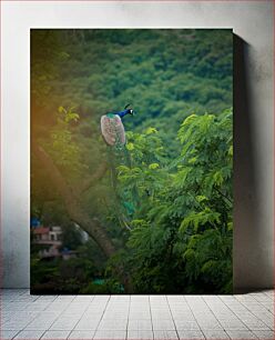 Πίνακας, Peacock in the Trees Παγώνι στα δέντρα