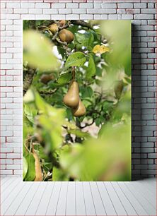 Πίνακας, Pears on a Tree Αχλάδια σε ένα δέντρο