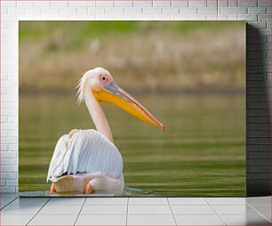 Πίνακας, Pelican on Calm Waters Πελεκάνος σε ήρεμα νερά