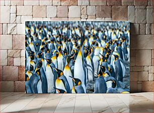Πίνακας, Penguin Colony Αποικία πιγκουίνων