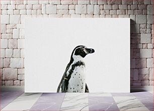 Πίνακας, Penguin in Monochrome Πιγκουίνος σε Μονόχρωμη