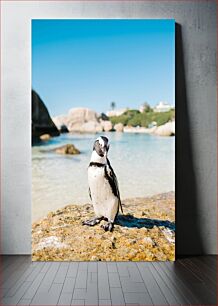 Πίνακας, Penguin on a Rocky Shore Πιγκουίνος σε μια βραχώδη ακτή