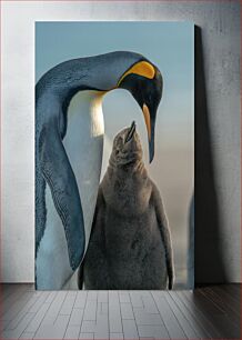 Πίνακας, Penguin Parent and Chick Γονέας και γκόμενος πιγκουίνος