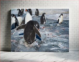 Πίνακας, Penguins in Antarctic Habitat Πιγκουίνοι στον βιότοπο της Ανταρκτικής