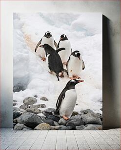 Πίνακας, Penguins in Snow Πιγκουίνοι στο χιόνι