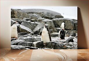 Πίνακας, Penguins in the Snow Πιγκουίνοι στο χιόνι