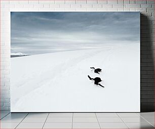 Πίνακας, Penguins in the Snow Πιγκουίνοι στο χιόνι