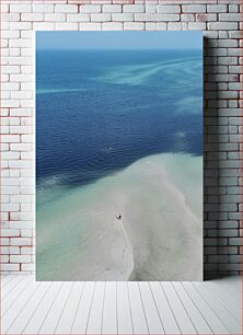 Πίνακας, Person Alone on Coastal Sandbar Πρόσωπο Μόνος στο Παράκτιο Sandbar