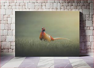 Πίνακας, Pheasant in Grass Φασιανός στο Χόρτο