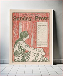 Πίνακας, Philadelphia Sunday Press: June 9, 1895