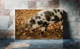 Πίνακας, Pig in Autumn Leaves Γουρούνι στα Φθινοπωρινά Φύλλα