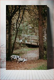 Πίνακας, Pigs in the Forest Γουρούνια στο Δάσος