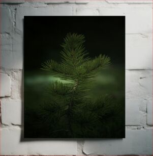 Πίνακας, Pine Tree in the Dark Πεύκο στο σκοτάδι