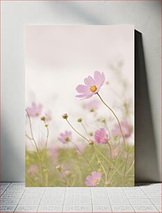 Πίνακας, Pink Flowers in the Field Ροζ λουλούδια στο χωράφι