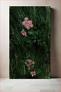 Πίνακας, Pink Wildflowers in Green Grass Ροζ αγριολούλουδα στο πράσινο γρασίδι