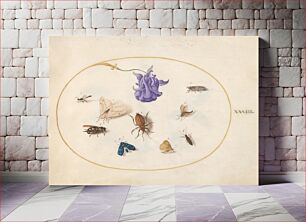 Πίνακας, Plate 33: Moth and Butterfly with other Insects and a Columbine Flower (c. 1575-1580) by Joris Hoefnagel