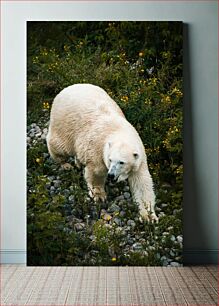 Πίνακας, Polar Bear in Nature Πολική αρκούδα στη φύση