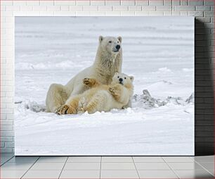 Πίνακας, Polar Bears in the Snow Πολικές αρκούδες στο χιόνι