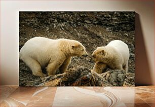 Πίνακας, Polar Bears in the Wild Πολικές αρκούδες στην άγρια ​​φύση