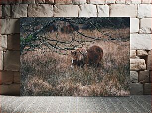 Πίνακας, Pony Grazing in a Field Πόνυ που βόσκουν σε ένα χωράφι