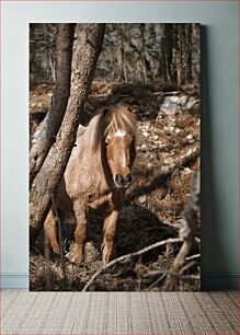 Πίνακας, Pony in the Forest Πόνυ στο Δάσος