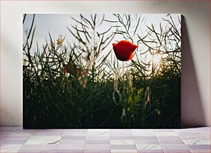 Πίνακας, Poppy at Dusk Παπαρούνα στο σούρουπο