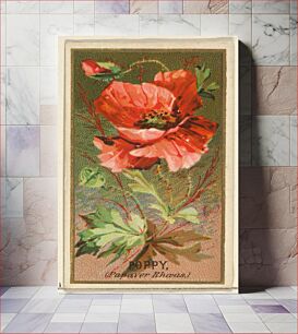 Πίνακας, Poppy (Papaver Rhoeas), from the Flowers series for Old Judge Cigarettes