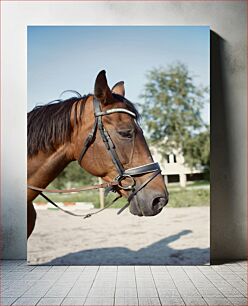 Πίνακας, Portrait of a Brown Horse Πορτρέτο ενός καφέ αλόγου