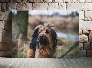 Πίνακας, Portrait of a Dog in Nature Πορτρέτο ενός σκύλου στη φύση