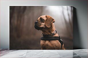 Πίνακας, Portrait of a Dog in the Woods Πορτρέτο ενός σκύλου στο δάσος