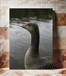 Πίνακας, Portrait of a Duck by the Water Πορτρέτο μιας πάπιας δίπλα στο νερό