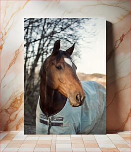 Πίνακας, Portrait of a Horse in Nature Πορτρέτο ενός αλόγου στη φύση