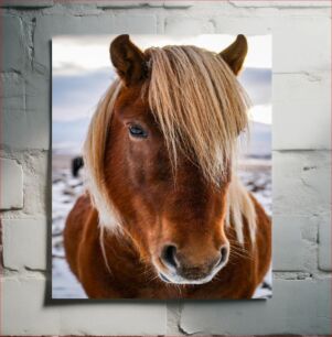 Πίνακας, Portrait of a Horse Πορτρέτο ενός αλόγου