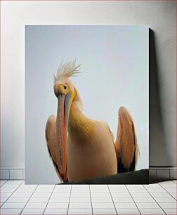 Πίνακας, Portrait of a Pelican Πορτρέτο ενός πελεκάνου