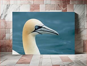 Πίνακας, Portrait of a Seabird Πορτρέτο ενός θαλασσοπούλι