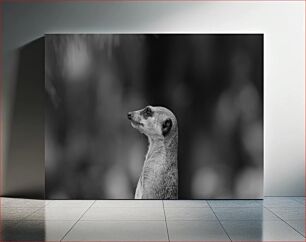 Πίνακας, Profile of a Meerkat in Black and White Προφίλ ενός Meerkat σε μαύρο και άσπρο