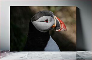 Πίνακας, Profile of an Atlantic Puffin Προφίλ ενός Atlantic Puffin