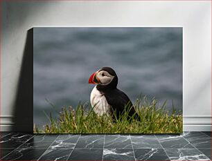 Πίνακας, Puffin by the Sea Puffin by the Sea